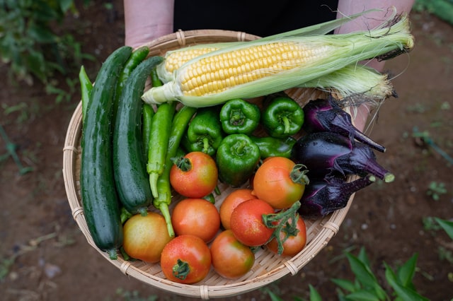 7月の旬野菜｜新鮮な選び方と夏におすすめレシピ